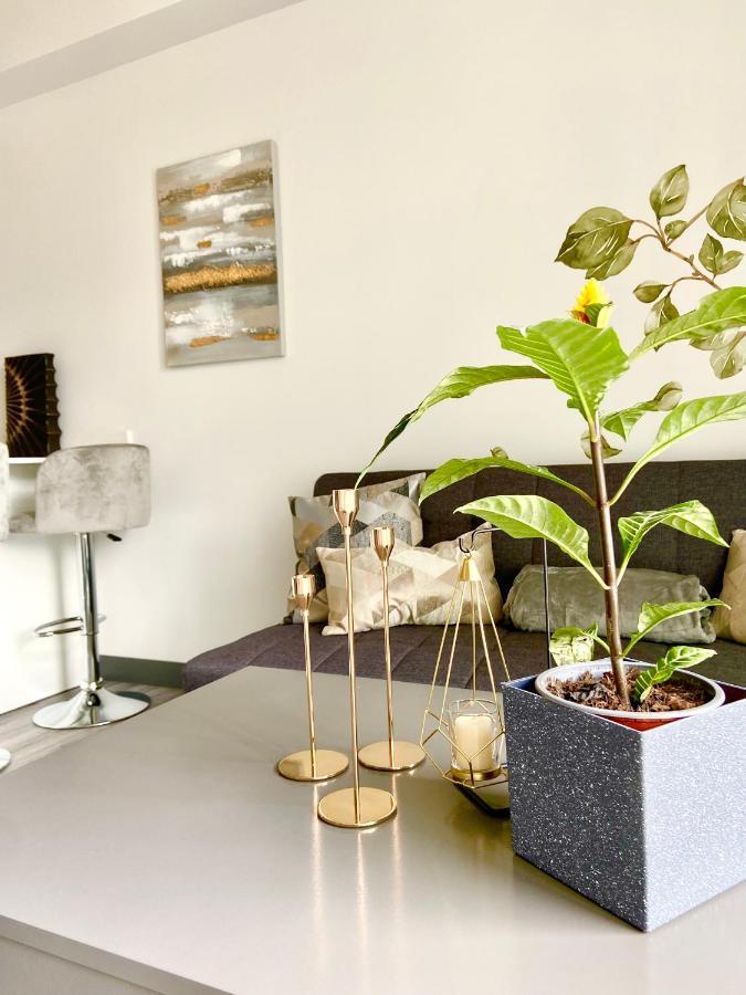 Comodo Y Elegante Apartamento En Fabuloso Condo! San José Extérieur photo