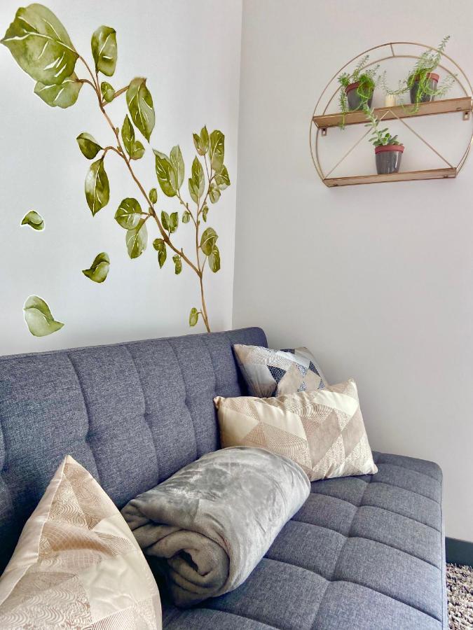 Comodo Y Elegante Apartamento En Fabuloso Condo! San José Extérieur photo