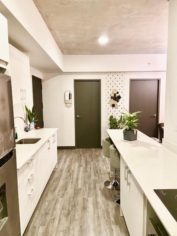 Comodo Y Elegante Apartamento En Fabuloso Condo! San José Extérieur photo