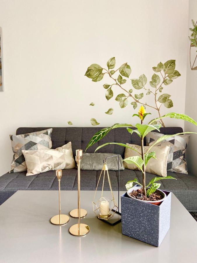 Comodo Y Elegante Apartamento En Fabuloso Condo! San José Extérieur photo