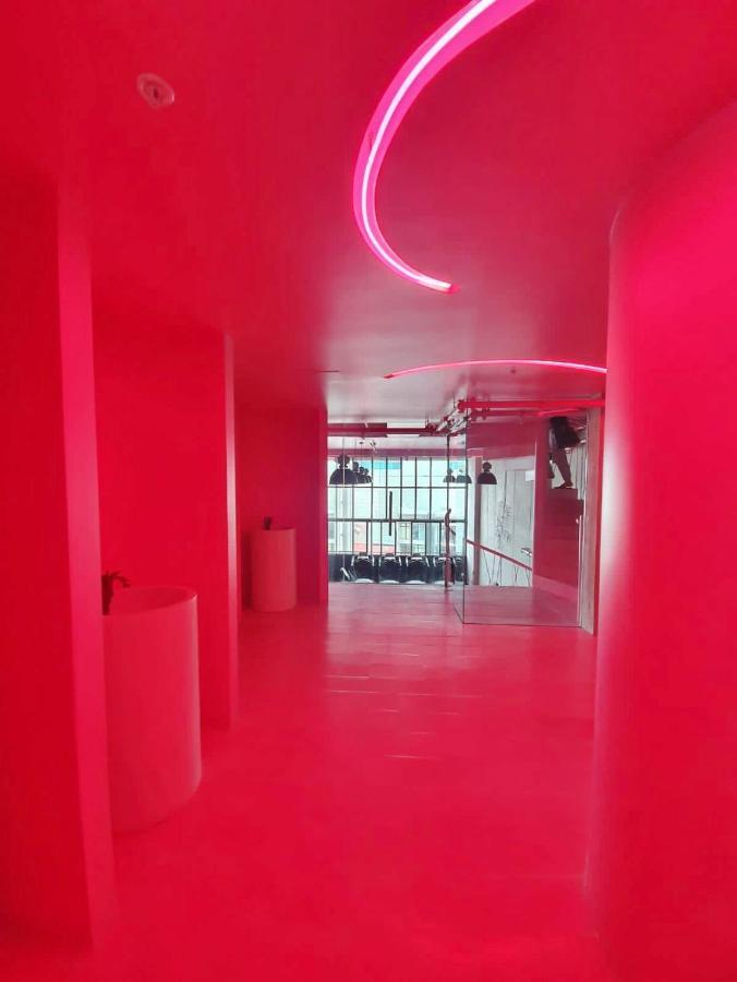 Comodo Y Elegante Apartamento En Fabuloso Condo! San José Extérieur photo